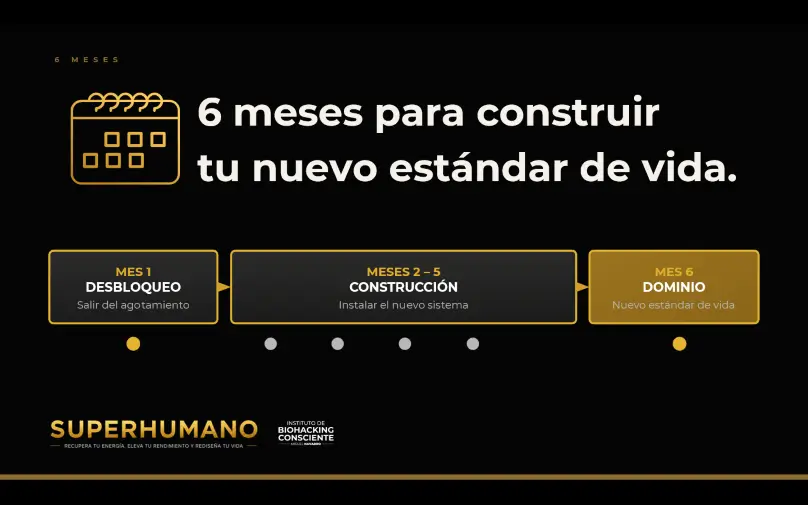 Fases del programa Superhumano durante seis meses: Desbloqueo, Construcción y Dominio.